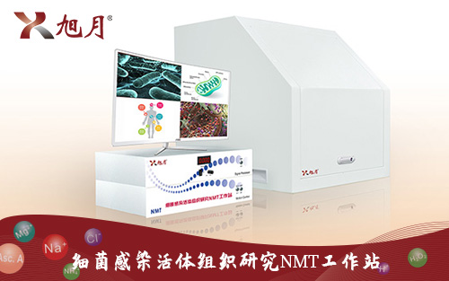 细菌感染活体组织研究NMT工作站